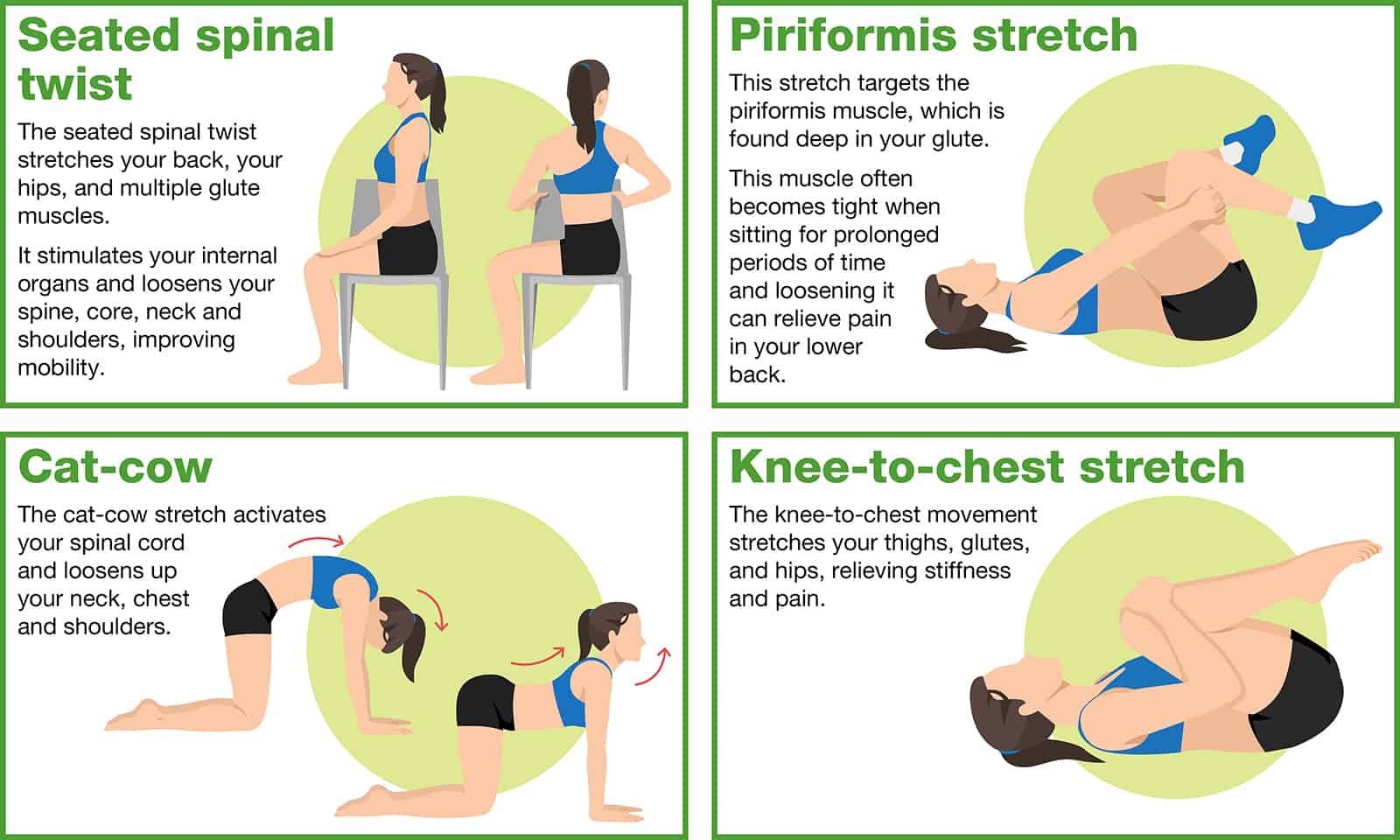 Diagram explaining how to perform the seated spinal twist stretch, piriformis stretch, cat-cow stretch, knee-to-chest stretch