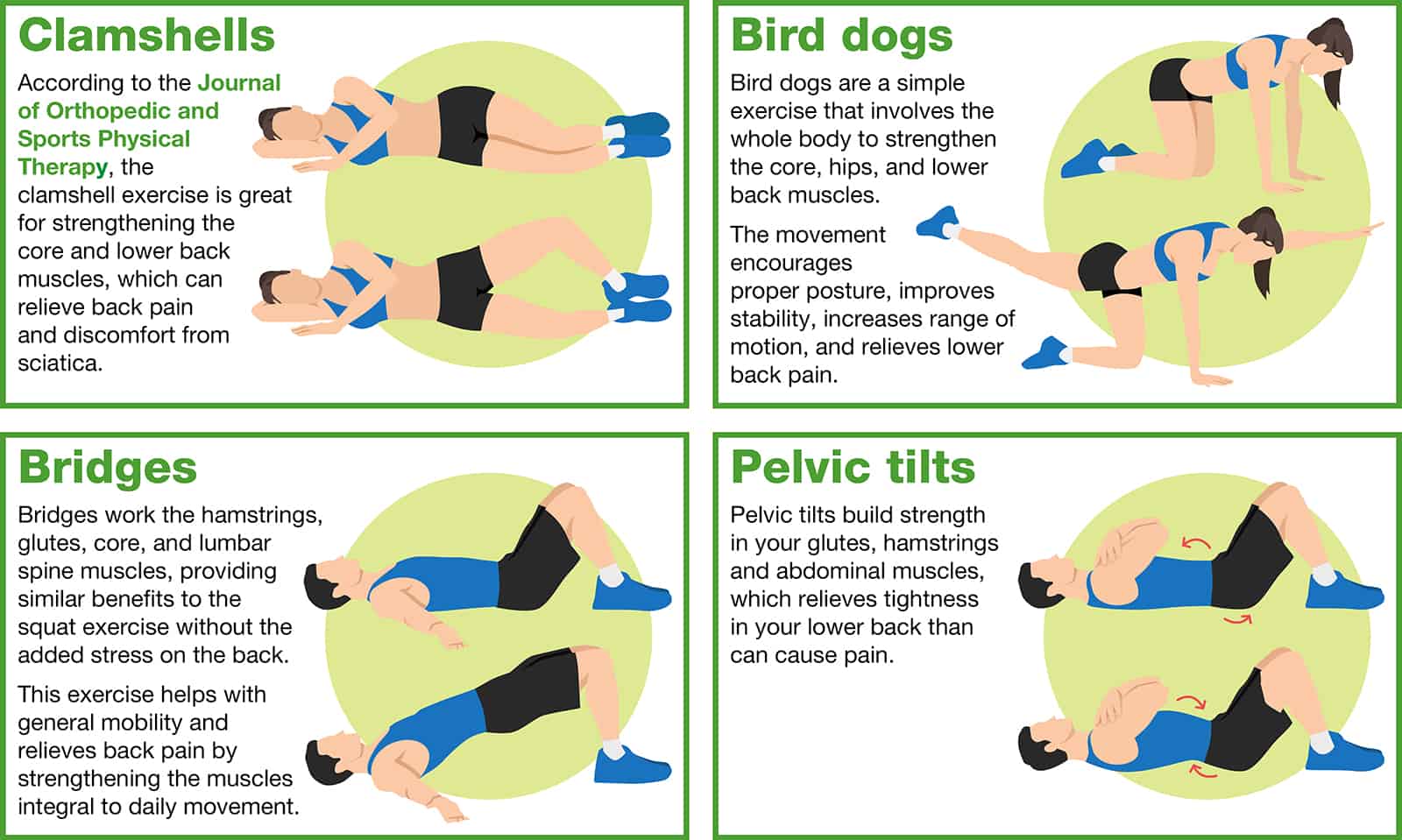 Diagram explaining how to perform the clamshell exercise, bird dog exercise, bridge exercise, pelvic tilt exercise