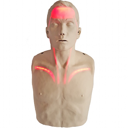 Brayden CPR Manikin with Red Illumination LED Lights