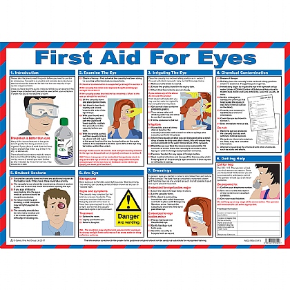 First Aid for Eyes Poster, Laminated