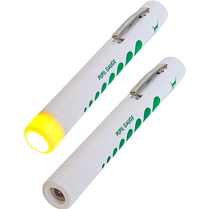 Disposable Pen Torch