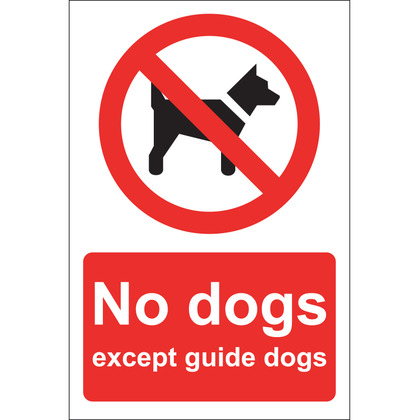 No Dogs Sign, Rigid, 20x30cm